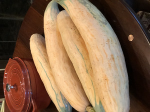 Candy Roaster Squash
