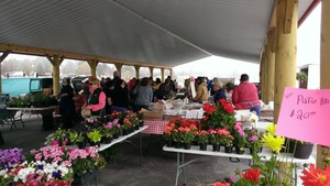 Northeast Michigan Regional Farm Market