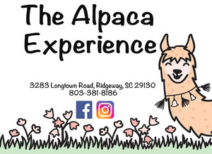 The Alpaca Experience at Hanna Hands farm