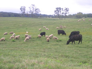 Briarmead