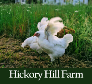 Hickory Hill Farm
