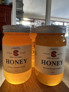 Colorado Wild Bees