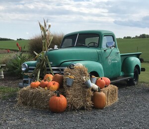 Stillpoint Farm