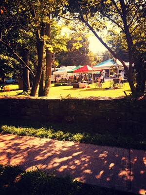 Down to Earth New Rochelle Farmers Market