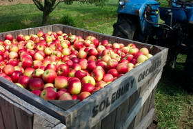 Solebury Orchards - LocalHarvest