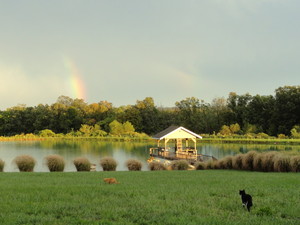 Windy Lake Farm