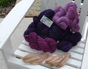 Wild Rose Farm