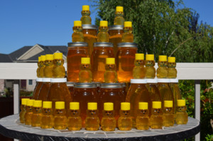 Hillsboro Honey