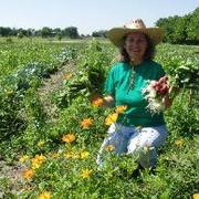 Garden Harvests Farm - LocalHarvest