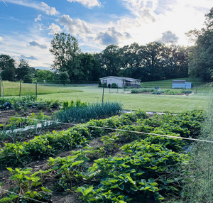 Saint Luke Farm