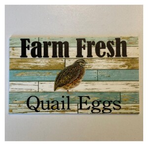 Acerg Quail Farm