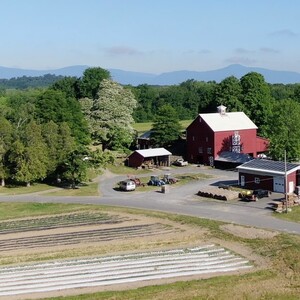 Mead Orchards
