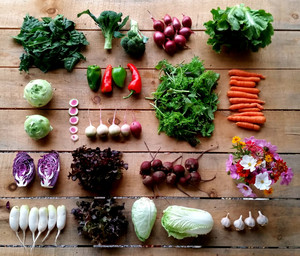Mud Creek Farm CSA