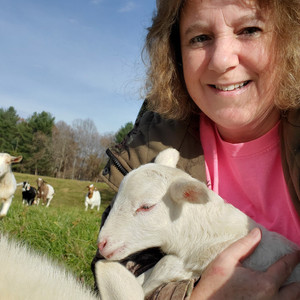 Rocky Top Farm