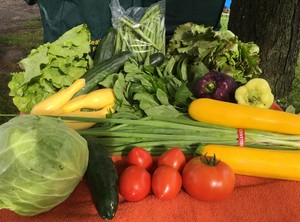 PeaceWeaver Organic Farm CSA