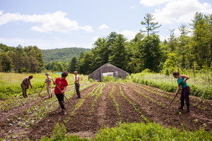 Adamah CSA in Falls Village