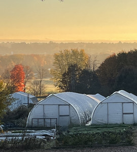 Baker's Fresh Produce & Honey