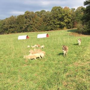 Taste and See Family Farm LLC