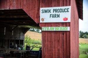 Siwik Produce Farm