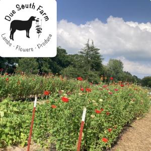 Due South Farm