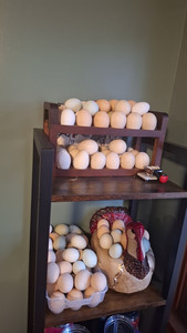 Fresh eggs