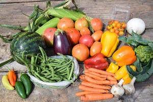 Small Family Farm CSA