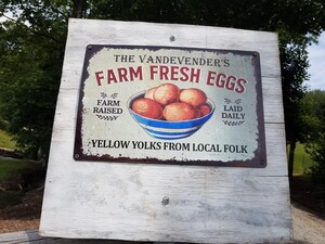 Red Feathered Farm