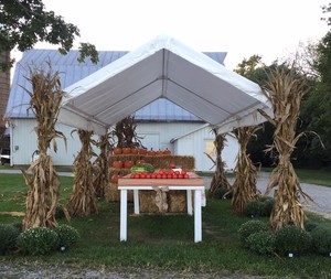 Roberts Farms