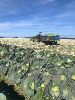 SoGaMex Harvest LLC