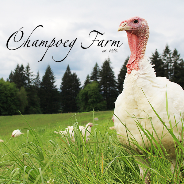 Whole Duck - Champoeg Farm