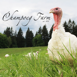 Champoeg Farm est. 1856