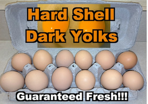 Chicken Eggs