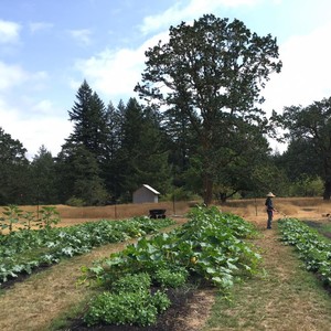 Prairie Oak Farm