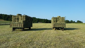 Kathryn's Way Farm