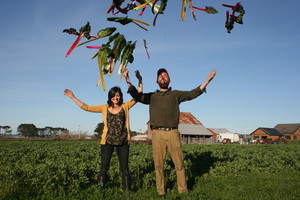 Fair Curve Farm