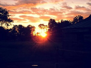 Proverbs 31 Farm