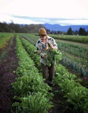 River Run Farm- CSA Farmshare