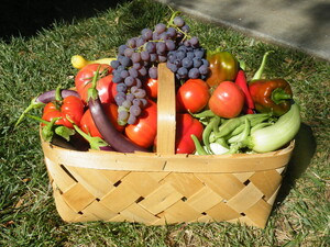 Hog and Dogs Ranch / Produce