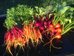 Southwest Farm Fresh Cooperative
