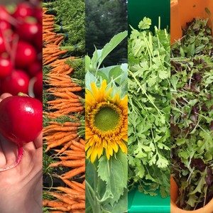 Crown & Roots Farm