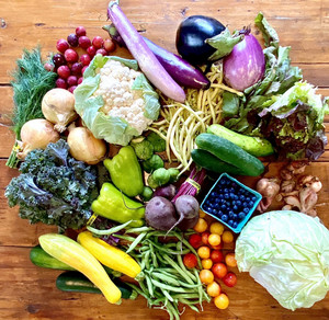 Bloomfield-Montclair CSA