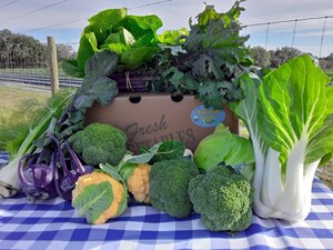 Honeyside Farms