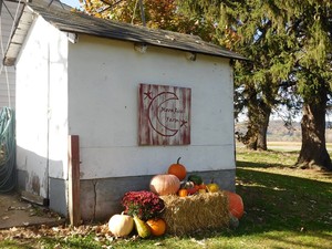 MoonRise Farm