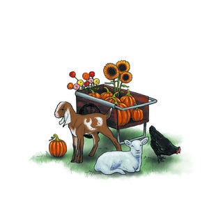 Sweet Pumpkins Farm