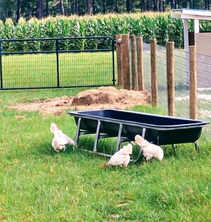 Manor Farms