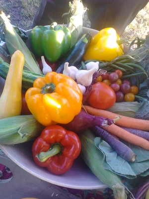 Chris's Farm Stand