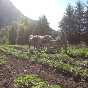 Four Beat Farm