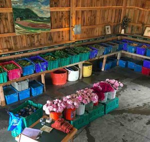 Sweet Land Farm