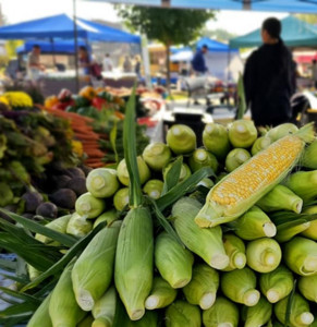 The F.R.E.S.H. Project-Shawano Farmers Market