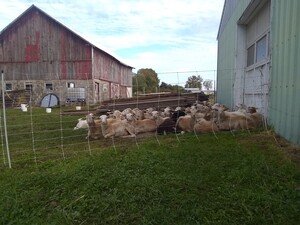 The Pasturage, LLC